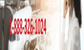 Best way to reach One Turkish Airlines support by Phone Number