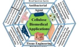 Cellulose Nanoparticles for Multiple Biomedical Applications