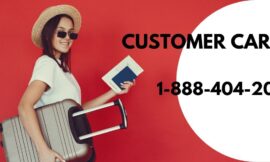 Qatar Airways Customer Care: How to Get Immediate Phone Support