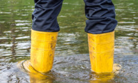 Best Men’s Gumboots for Different Industries from Oliver