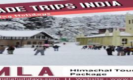 Best Himachal Tour Package from Delhi – Lotus India Holidays