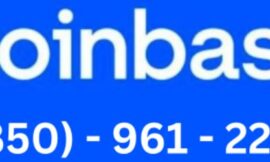 How do I contact Coinbase Support?