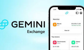 How can I contact Gemini Wallet support? Step By Step Guide