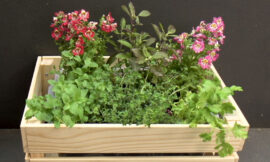 Set It and Forget It: A Beginner’s Guide to Self-Watering Planter Box Systems