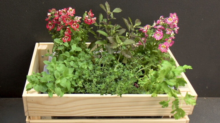 Read more about the article Set It and Forget It: A Beginner’s Guide to Self-Watering Planter Box Systems