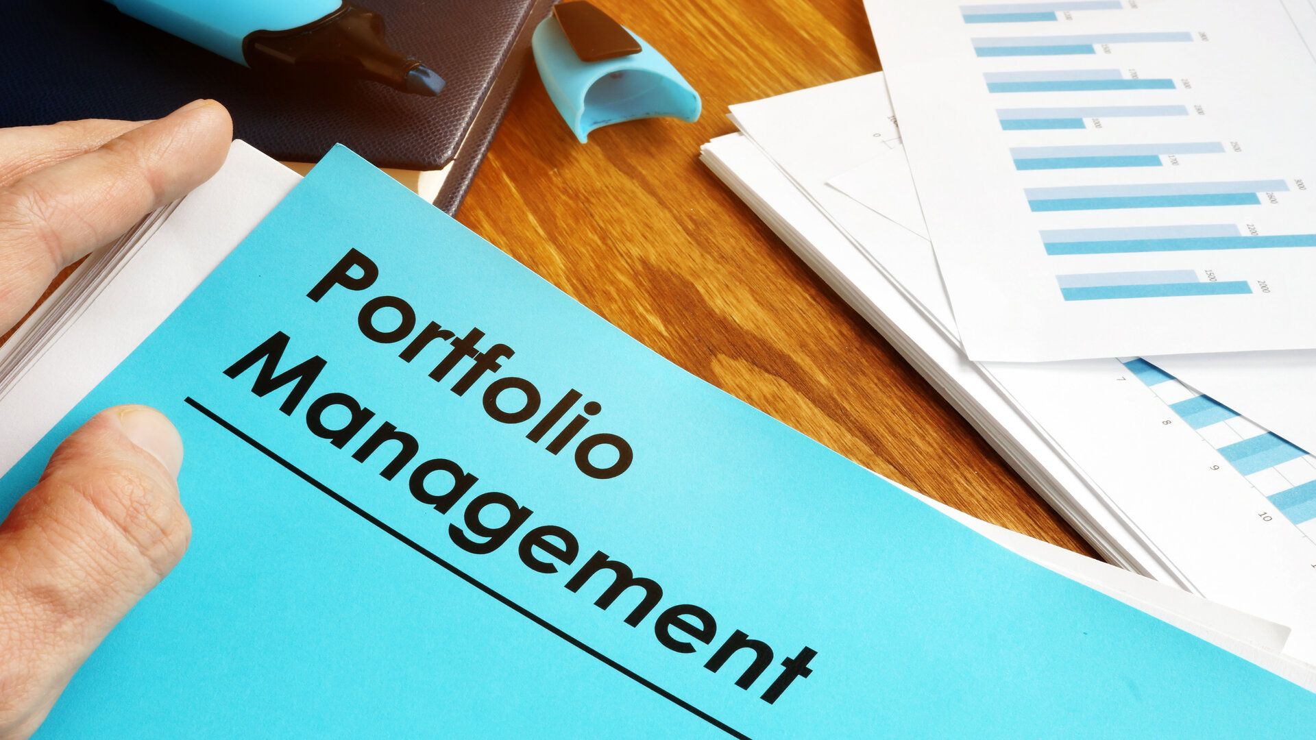 Understanding Portfolio Management ServicesPlease type a website title