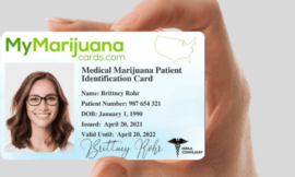 How Can I Get a Cheap Medical Marijuana Card Online in Florida Legally?