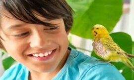 The Charm of Pet Birds for Kids