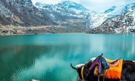 Tsomgo Lake – A Mesmerizing Himalayan Marvel