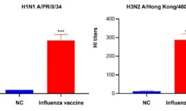 Comprehensive Vaccine Development CRO Services