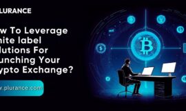 How to leverage crypto exchange solutions to establish your crypto exchange?