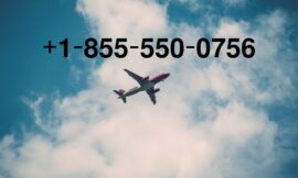 𝐃𝐢𝐫𝐞𝐜𝐓𝐥𝐲 How to call to someone at American airlines Representative Fast