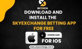 IPL 2025 Betting Guide | Win Big on SkyExchange – Tips, Odds & Strategy