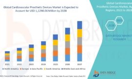 Bio Cellulose Face Sheet Market – Industry Trends and Forecast to 2029