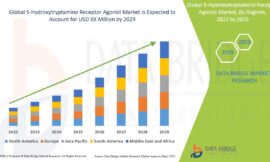 5-Hydroxytryptamine Receptor Agonist Market Revenue Analysis: Growth, Share, Value, Size, and Insights