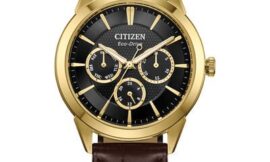 Premium Men’s Citizen Watches at Rogers and Hollands