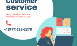 5 Simple Ways to Contact Gemini Support By: Phone, Email and Chat Care, The Definitive Guide to Support