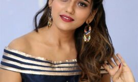 Best Escort Service in Chandigarh with Free Home Delivery