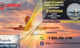 Everything You Need to Know About the Expedia Flight Cancellation Policy