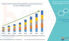 Frontal Sinusitis Treatment Market Analysis by Capital Investment, Industry Outlook, Growth Potential, Opportunities & Trends