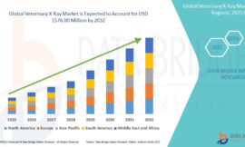 Veterinary X-Ray Market Future Scope: Growth, Share, Value, Size, and Analysis