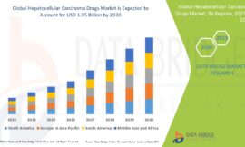 Hepatocellular Carcinoma Drugs Market Value: Growth, Share, Size, Scope, and Trends