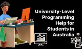 University-Level Programming Help for Students in Australia