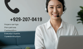 【Official Support™】 How Do I Contact Trust Wallet Support toll free number for – USA / Canada ??