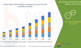 Organic Seed Market Analysis: Growth Strategies and Forecast 2022–2029