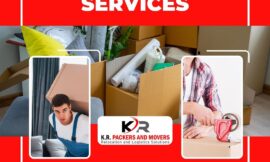 Packers Movers In Jp Nager