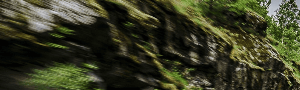 User banner image