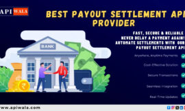 Best Payout Settlement API Solution in India