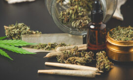 Which Marijuana Strains are Rated Top in Canada?