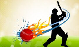 Wolf7pay Trusted Partner: Safe Online Cricket ID