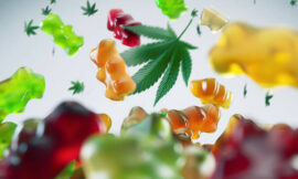 Highline Wellness CBD Gummies™: Gluten-Free, Non-GMO, and Designed for Calmness