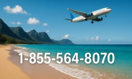 11 Ways to Call jetblue Customer Service via Phone, Email, or Chat Options: A Step by Step Guide