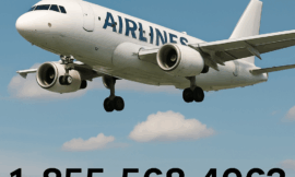 07 Ways to Call American Airlines Customer Service via Phone, Email, or Chat Options: Step by Step Guide