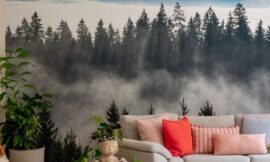 Stylish Wallpaper for Every Room: A Complete Interior Guide