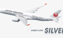 How to Correct a Name on Your Japan Airlines Flight Booking