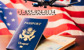 Ways to get help from Southwest Airlines Customer Service Phone Number?