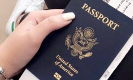 21 Ways to Reach American Airlines Customer Service by Phone, Chat, and Email: A Full Explained Guide