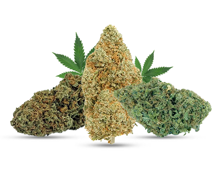 AAA Weed Grade