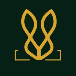 Bold Bunny