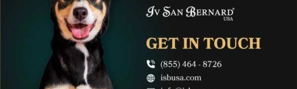 User banner image