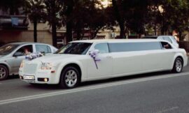 Wedding Limo Toronto – Mood-Lit Interiors