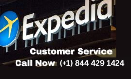 15 Ways to Communicate Expedia Customer Service via Phone, Email, or Chat Options: Step by Step Guide