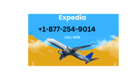 Ways to Reach Expedia Customer Service via Phone, Email, or Chat Options: Step by Step Travel Guide
