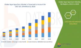 Agar Agar Gum Market Rises with Increased Demand for Plant-Based Ingredients