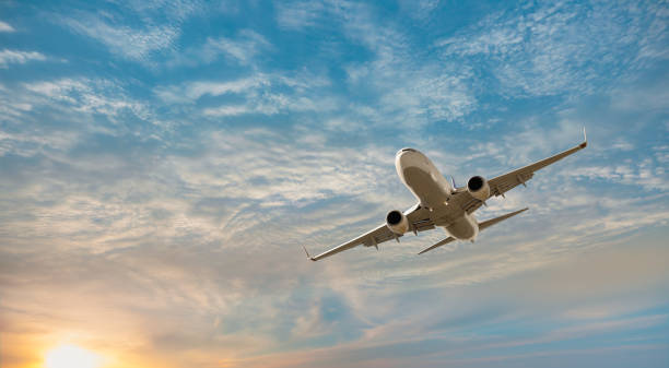 Read more about the article 11 Ways To Connect Southwest Customer Service By Phone, Chat and Email Options: A Complete Guide