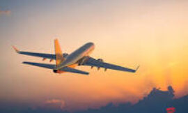 Top 5 Ways to Contact Scandinavian Airlines: Phone, Email & Chat Options